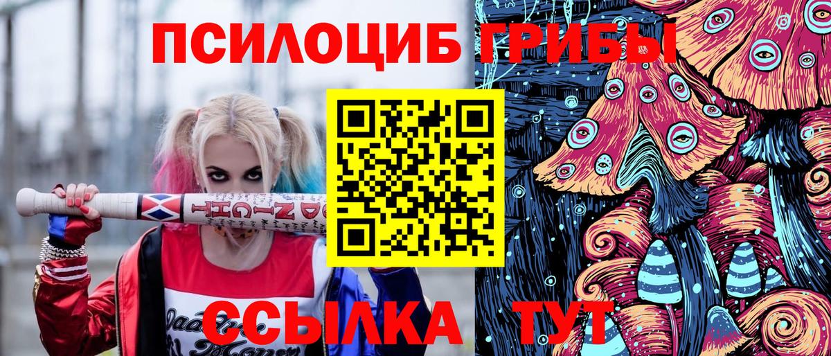 Псилоцибиновые грибы Magic Shrooms  Вход с VPN  купить закладку  Новозыбков  Псилоцибиновые грибы Psilocybine cubensis 